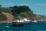 Marshall, Marin County, Tomales Bay, Pacific Ocean, Shoreline, Coastlline, Coast, CNCV02P15_17.1731