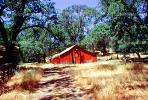 trees, barn, summer, hot day, sunny, dry, outdoors, outside, exterior, rural, building