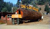 One-Log House, Tourist Trap, Roadside America, 1950s, CNCV03P11_04
