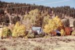 autumn, house, fall colors, Trees, Vegetation, Flora, Plants, Colorful, barn, CNCV04P06_18