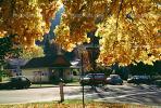 Quincy, autumn, Plumas County