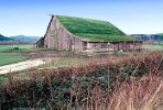 Barn Building, rural, sod roof, grass, CNCV05P14_17
