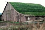Barn Building, rural, sod roof, grass, CNCV05P14_19