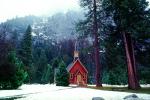 Yosemite Valley Chapel, steeple, trees, forest, CNCV06P12_15