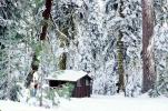 Forest, home, house, building, bucolic, Snow, Cold, Ice, Frozen, Icy, Winter, Tranquility