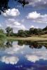 reflection, reflecting, pond, clouds