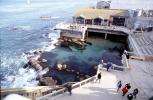 Monterey Bay Aquarium, Cannery Row, CNCV08P13_12