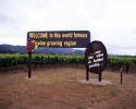 Napa Valley, Welcome to this world famous wine growing region, CNCV08P15_11
