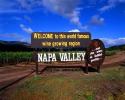 Napa Valley, Welcome to this world famous wine growing region,  and the wine is bottled poetry, CNCV08P15_12