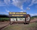 Welcome to this world famous wine growing region, and the wine is bottled poetry, Napa Valley, CNCV08P15_13