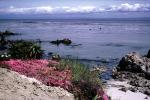 Pacific Grove, Monterey Bay, June 1967, 1960s, CNCV09P05_15