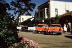 Cars, Downtown Carmel, Trees, Buildings, Ivy, 1950s, CNCV09P09_19