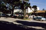 Cars, Downtown Carmel, Trees, Buildings, Ivy, 1950s