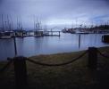 Docks, Harbor, Bridge, Newport, Yaquina Bay