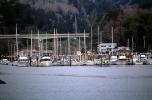 Docks at Gold Beach, Curry County, Rogue River