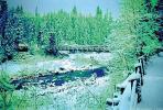 Nisqually River wooden Suspension Bridge, Longmire village, Mount Rainier National Park, CNTPCD0654_122B