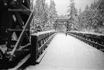Nisqually River wooden Suspension Bridge, Longmire village, Mount Rainier National Park, CNTPCD0654_124