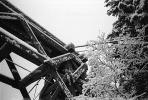 Nisqually River wooden Suspension Bridge, Longmire village, Mount Rainier National Park, CNTPCD0654_125