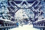 Nisqually River wooden Suspension Bridge, Longmire village, Mount Rainier National Park, CNTV01P01_13
