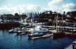 Docks, Harbor, Piers, San Juan Islands, 1978, 1970s, CNTV02P12_01