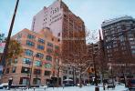 Buildings, Bare Tree, Snow, Cold, Midtown Manhattan, winter, wintertime, 155 Avenue of the Americas, CNYV02P15_09.1734