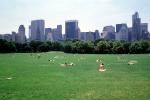 Central Park, Manhattan, summer, summertime, CNYV06P07_06