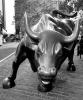 Wall Street Bull, 28 October 1997, CNYV06P11_11BBW