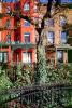 Brownstone, ivy, home, residential building, fence, Manhattan, CNYV07P02_04