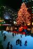 Rockefeller Center, Ice Skating, winter, wintertime, Tree, lights, CNYV07P03_01