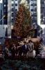 Rockefeller Center Christmaqs Tree, Lights, CNYV08P07_10