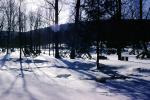 Allegany State Park, Snow, Shadows, January 1966, CNZV02P05_05