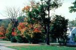 Fall Colors, tree, autumn, CODV01P08_16