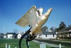 Golden Eagle, Mystic Seaport, COEV01P08_01