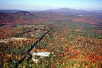 Mt Washington Vallley, New Hampshire, woodlands, autumn, COEV01P12_02