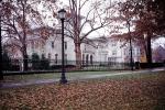 fallen leaves, campus building, sidewalk, Yale University, New Haven, Connecticut