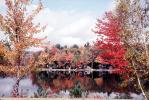 New Hampshire, fall colors, Autumn, Trees, Vegetation, Flora, Plants, Exterior, Outdoors, Outside