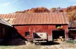 Barn, Hay, Grafton, Vermont, COEV02P11_09