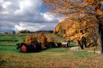 Bucolic Autumn in New England, autumn, Equanimity, Cottagecore