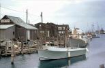 Lobster Boats, Dock, Harbor, Martha's Vineyard, 1971, 1970s