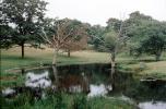 River, trees, pond, Martha's Vineyard, Massachusetts