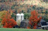 Fall Colors, Silo, Trees, Jackson, New Hampshire, autumn, COEV03P01_16