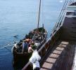 Mayflower, Rowboat, COEV03P06_16