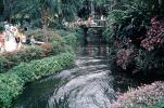 Cypress Gardens, COFV01P04_10