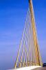 Sunshine Bridge, Sunshine Skyway Bridge, Tampa Bay, COFV02P13_04