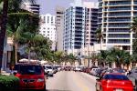 Boulevard, Cars, Palm trees, buildings, Automobile, Vehicle, Miami