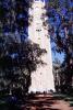 Bok Tower, Lake Wales, Florida, COFV03P04_09