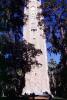 Bok Tower, Lake Wales, Florida