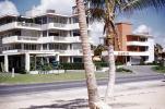 Esquire Hotel, Road, Tree, Building, South Beach, COFV04P13_10