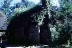 Ivy Covered Log Cabin, Fountain of Youth, Saint Augistine, 31 May 2003, COFV04P15_01