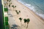 Palm Trees, Beach, Sand, Surf, Ocean, Boardwalk, COFV04P15_17